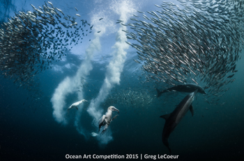 3rd Place – Greg Lecoeur